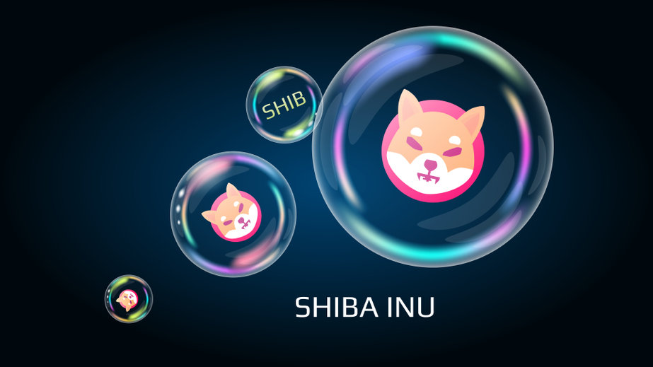 ¿Debería comprar Shiba Inu (SHIB) el 30 de noviembre?  Mejor intercambio de Bitcoin