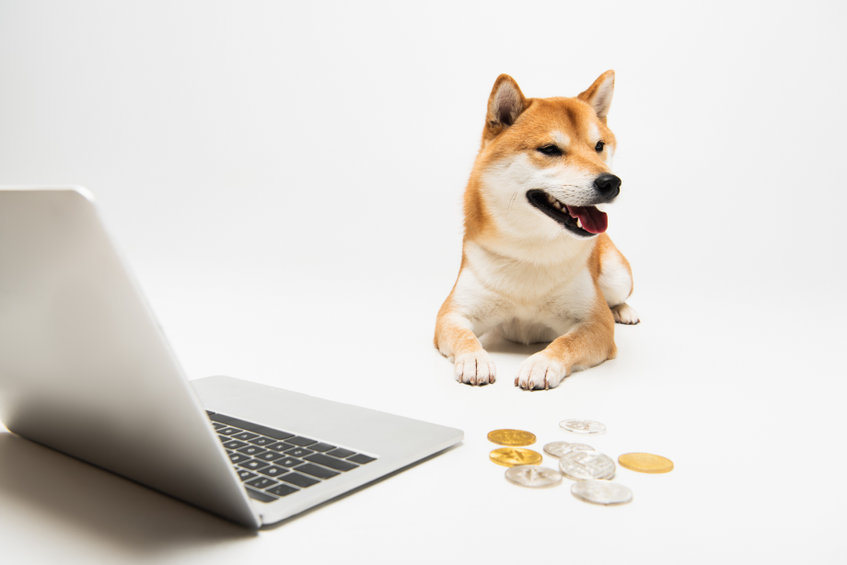 SHIB y ELON: ¿Vale la pena comprar estas alternativas de Dogecoin?