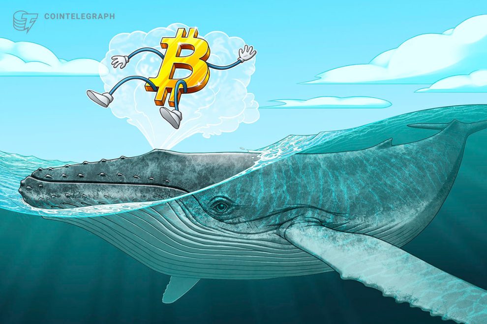 El precio de BTC supera los máximos de 10 días a medida que la demanda de ballenas de Bitcoin ve un "gran aumento"