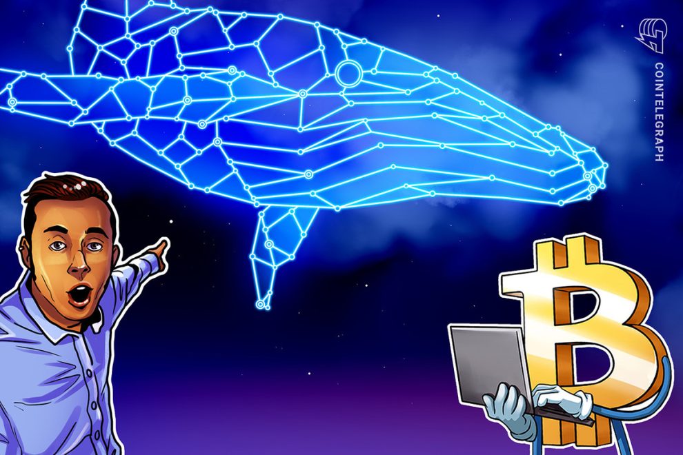 Cómo transferir $ 1 mil millones básicamente gratis: avistamiento de ballenas de Bitcoin