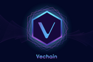 VeChain NFT utilizado para monetizar el inventario en Blockchain