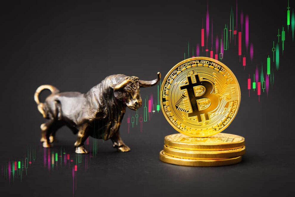 bitcoin price bull