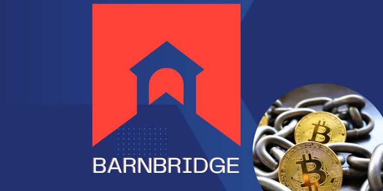 BarnBridge DAO congela las operaciones en medio de la investigación de la SEC, ¿pueden capear la tormenta?