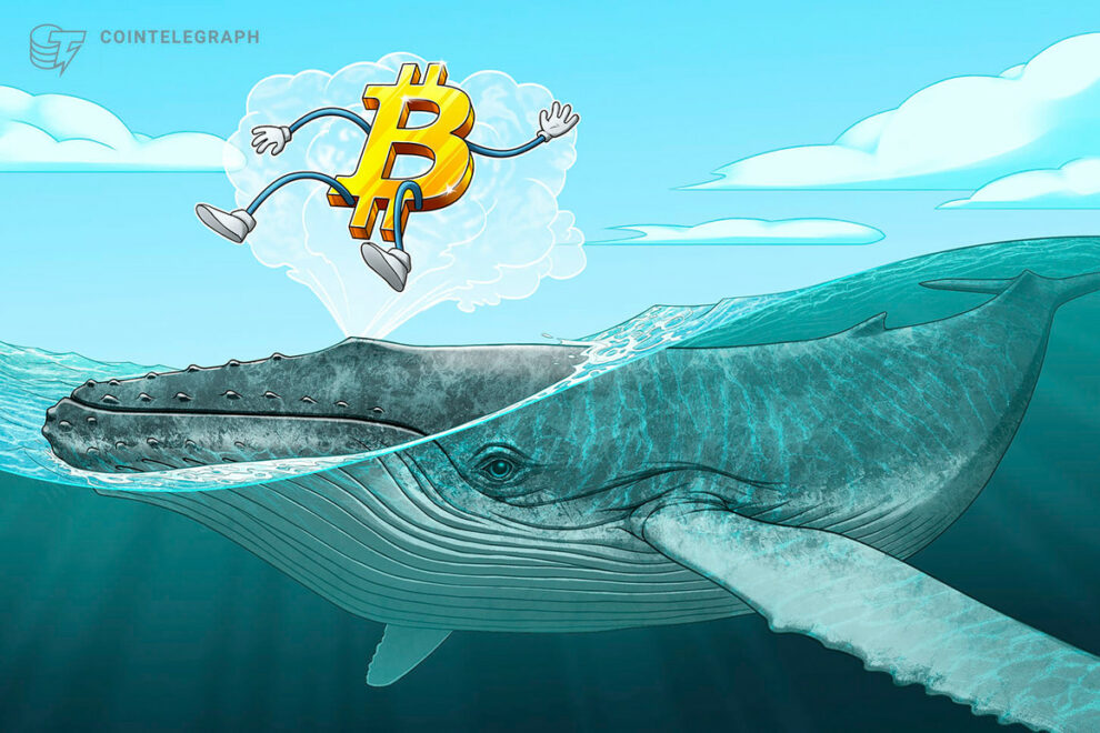La cuota de entrada del intercambio de ballenas de Bitcoin alcanza el máximo de 1 año: más del 40%